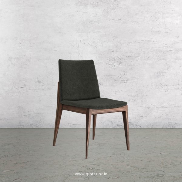 Rio Dining Chair in Velvet Fabric - DCH002 VL07