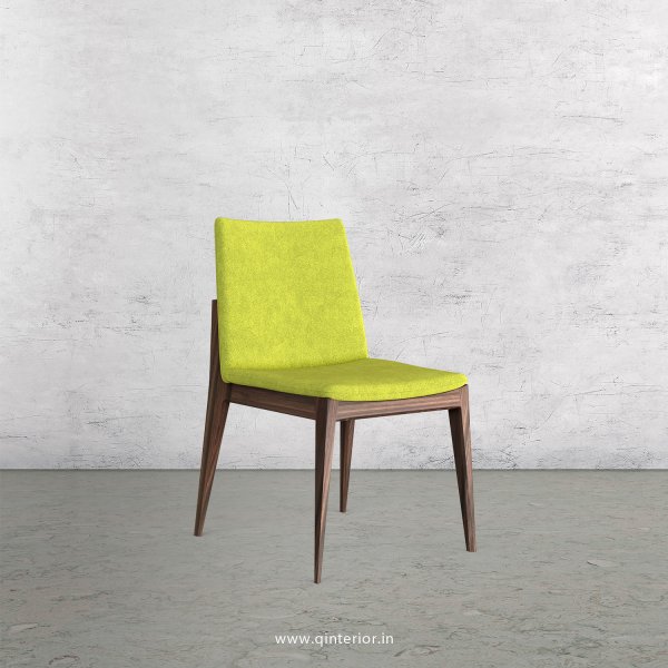 Rio Dining Chair in Velvet Fabric - DCH002 VL10