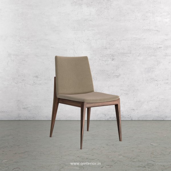 Rio Dining Chair in Velvet Fabric - DCH002 VL02