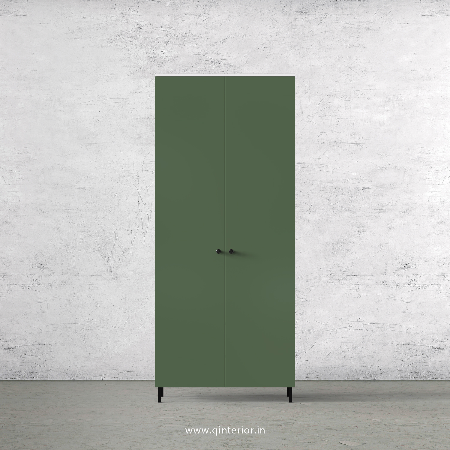 Lambent 2 Door Wardrobe in White and English Ivy Finish – DWRD001 C82
