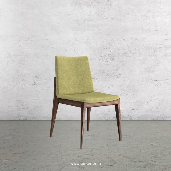Rio Dining Chair in Velvet Fabric - DCH002 VL04