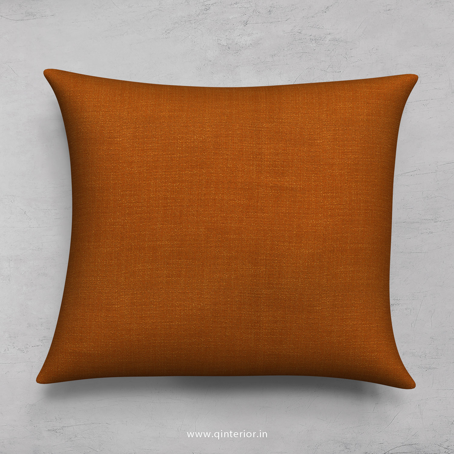 Cushion with Cushion Cover in  Cotton Plain - CUS001 CP21