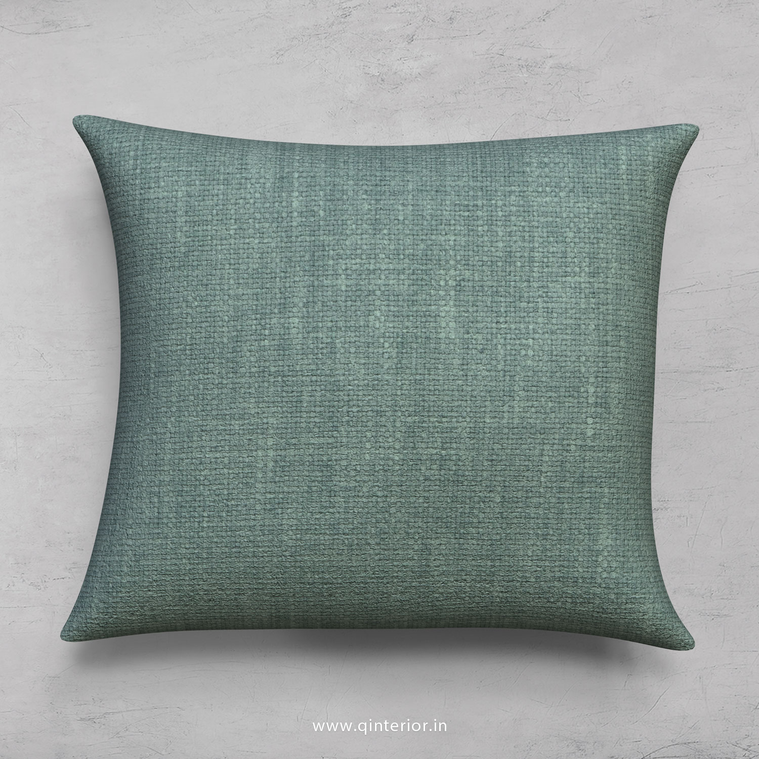 Cushion With Cushion Cover in Cotton Plain - CUS001 CP17