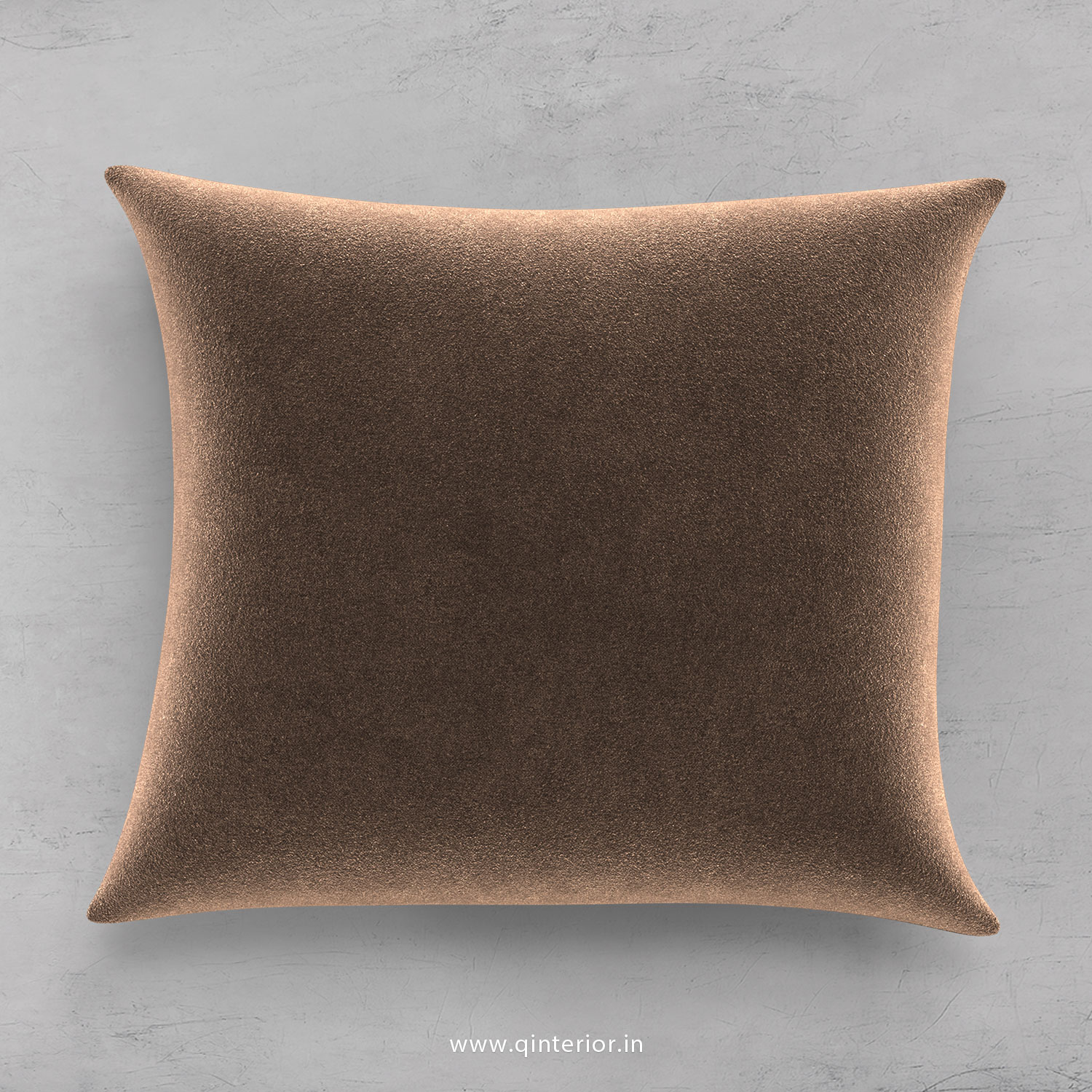 Cushion With Cushion Cover in Velvet Fabric -CUS001 VL02