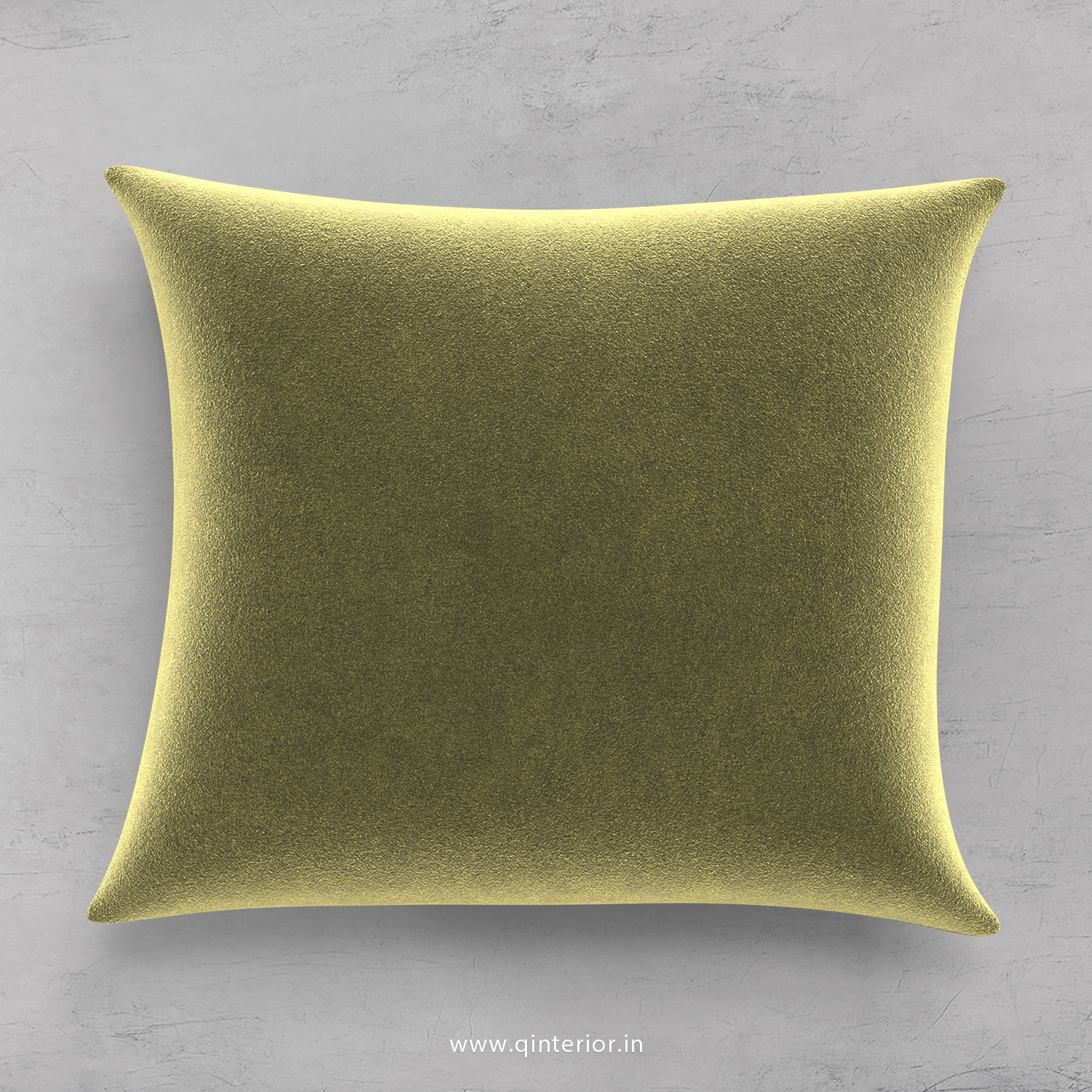 Cushion With Cushion Cover in Velvet Fabric - CUS001 VL04