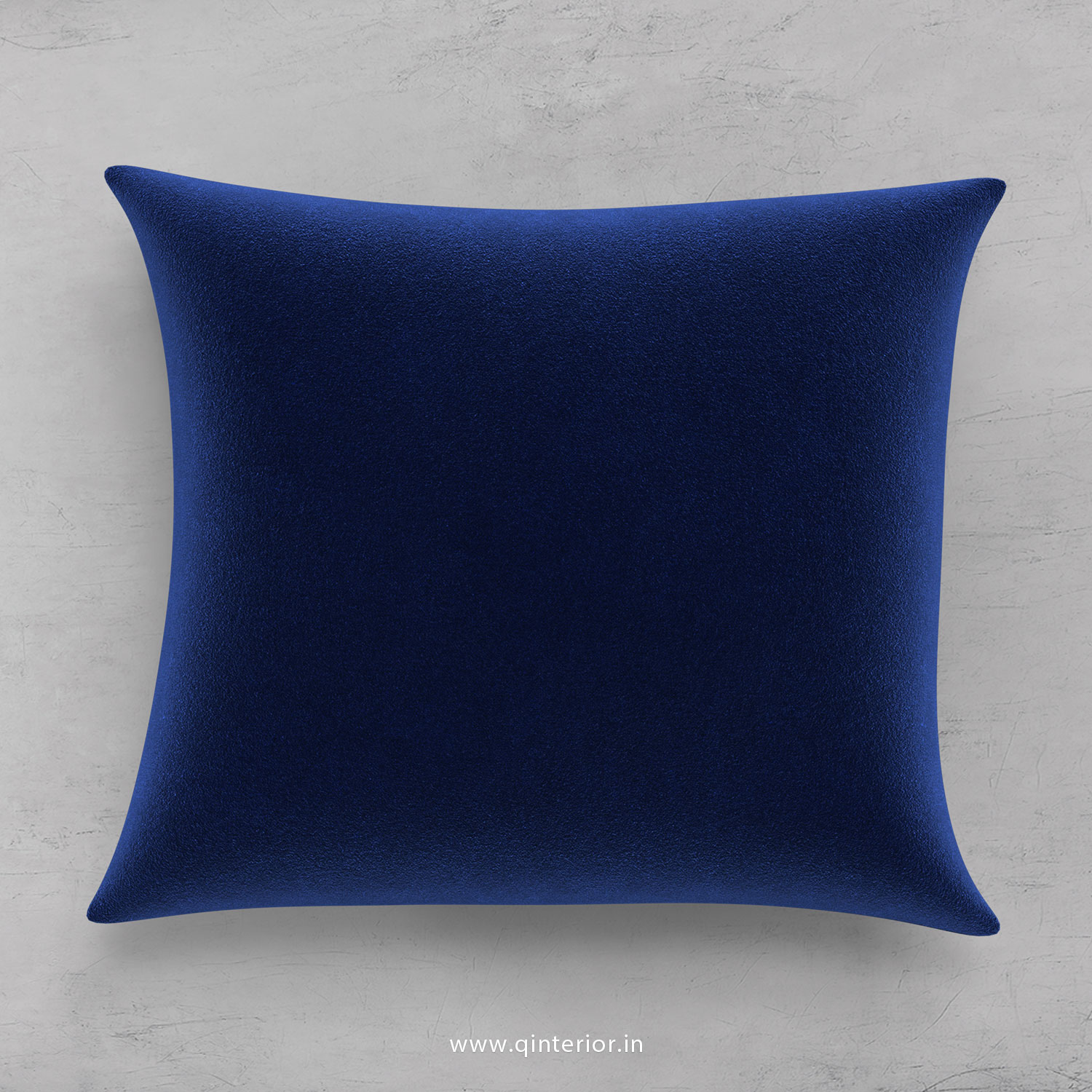 Cushion With Cushion Cover in Velvet Fabric- CUS001 FL05